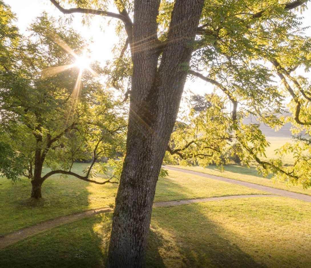 Gartenbauschule Oeschberg Gartenbauschule Oeschberg