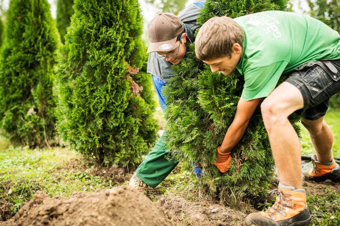 Gärtner/-in EBA Garten und Landschaftsbau Gärtner/-in EBA Garten und Landschaftsbau