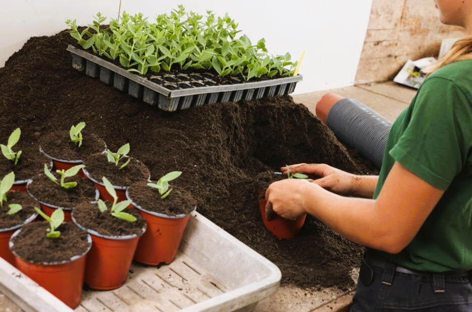 Gärtner/-in EFZ Pflanzenproduktion Gärtner/-in EFZ Pflanzenproduktion