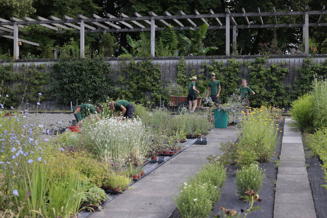 Vorlehre Gartenbauschule Oeschberg Vorlehre Gartenbauschule Oeschberg