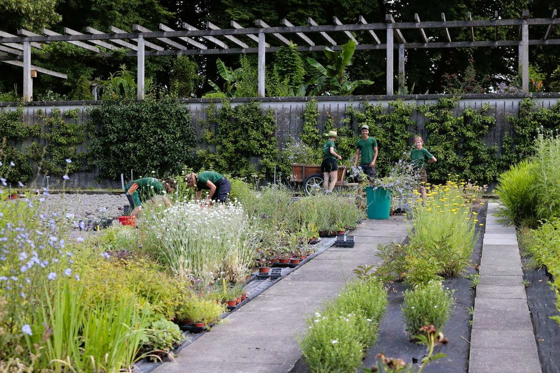 Gartenbauschule Oeschberg_Koppigen_Grundbildung_Vorlehre.JPG.png Gartenbauschule Oeschberg_Koppigen_Grundbildung_Vorlehre.JPG