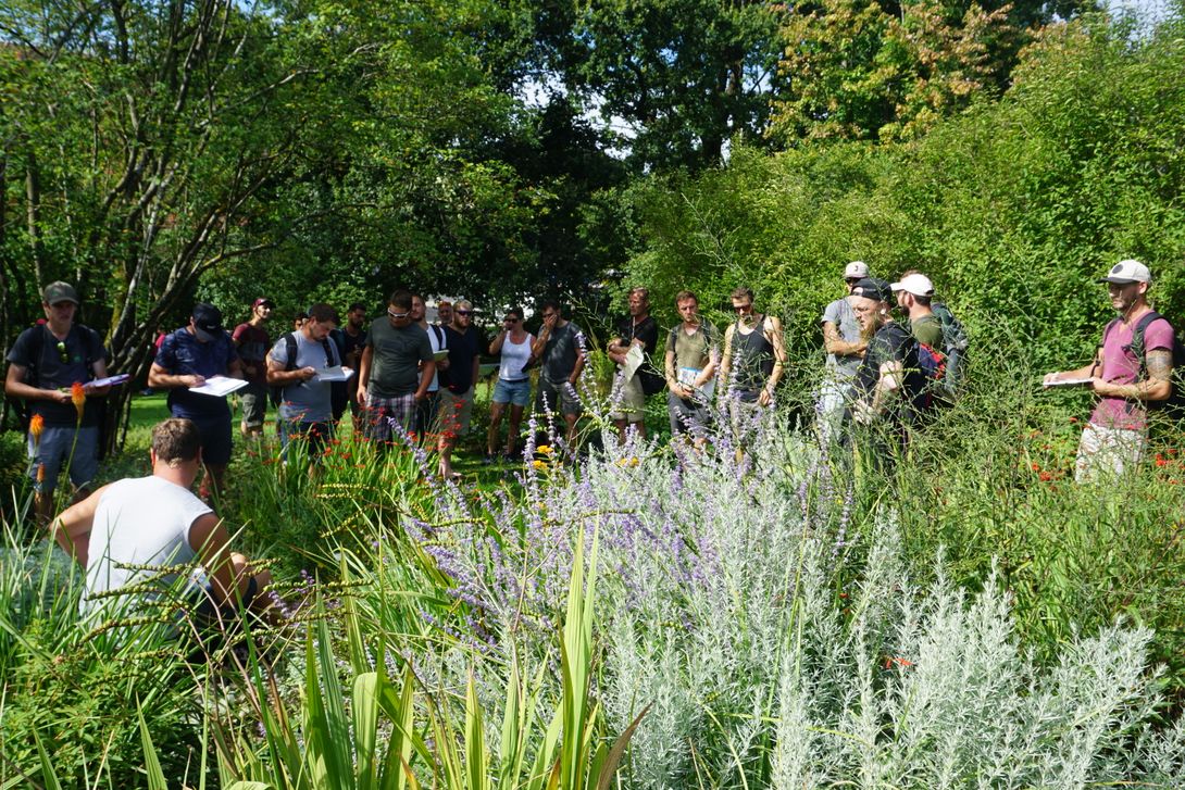 DSC03972.jpeg DSC03972